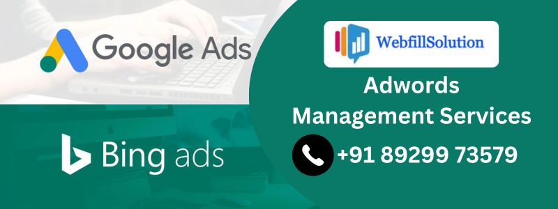 Adwords Management Services in rithala, india| Single Page Website Design